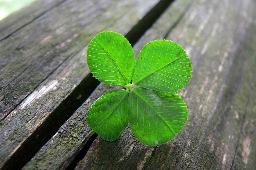 four-leaf-clover-luck